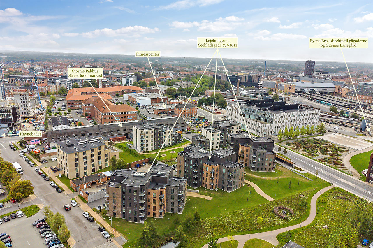 Luftfoto af Seebladsgade 7-11 ved Odense Havn med Storms Pakhus, havnebadet, fitnesscenter og Byens Bro til banegården